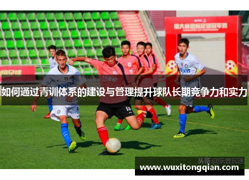 如何通过青训体系的建设与管理提升球队长期竞争力和实力