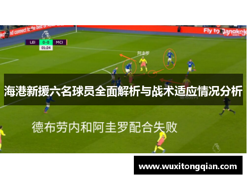 海港新援六名球员全面解析与战术适应情况分析